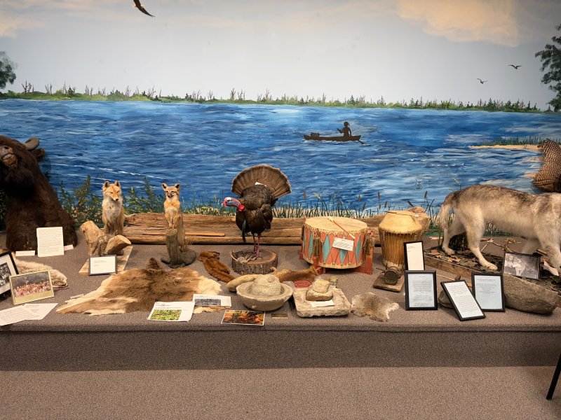 As part of Native American Day, visitors were encouraged to take free tours of the Nanticoke Indian Museum.