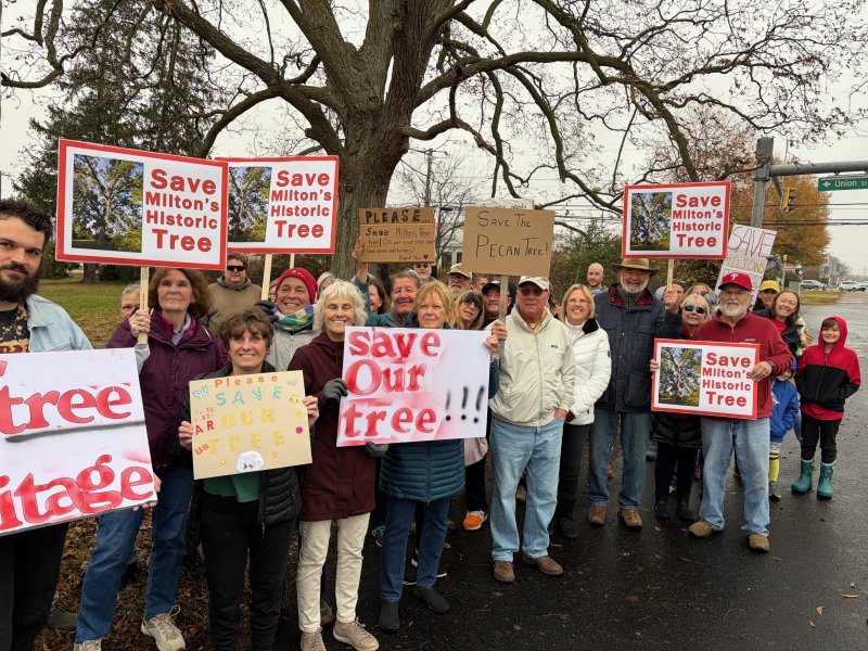 Protesters line up on Route 16.