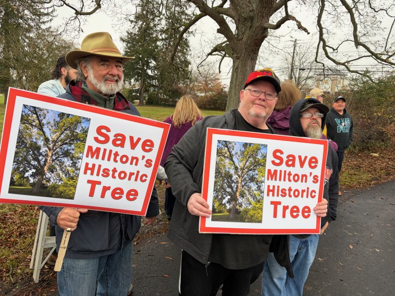 A protest was held Nov. 22 in Milton about the planned cutting down of a pecan tree at the corner of Route 16 and Union Street Extended. The tree is slated to be felled as part of traffic improvements associated with a new Royal Farms at the site. Taking part in the protest are (l-r) Jim McSherry, Tim Greenwalt and James Wright. RYAN MAVITY PHOTOS