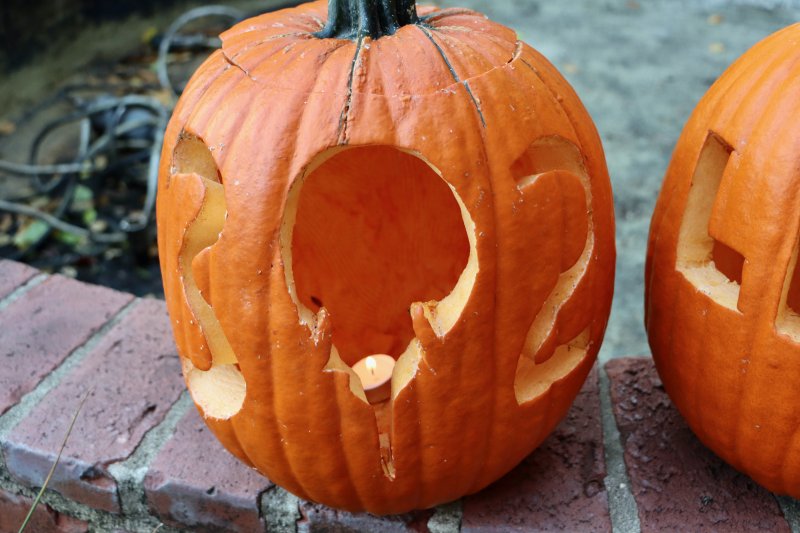 One of 75 jack-o-lanterns lit up in Zwaanendael Park on Halloween night. The pumpkins were carved by members of the Zwaanendael Women’s Club, Lewes in Bloom and Historic Lewes.