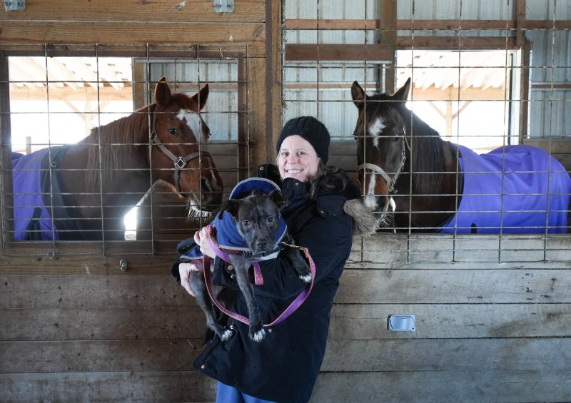 Sarah Hayes, CEO and founder of Jesse’s Place Foundation, holds one of her rescue dogs, Gracie Lou, a certified service dog and medical alert dog, in her Milford barn. In the stables behind her are rescue horses Quigley, left, and Quigley’s mother, Lucy. ELLEN MCINTYRE PHOTOS