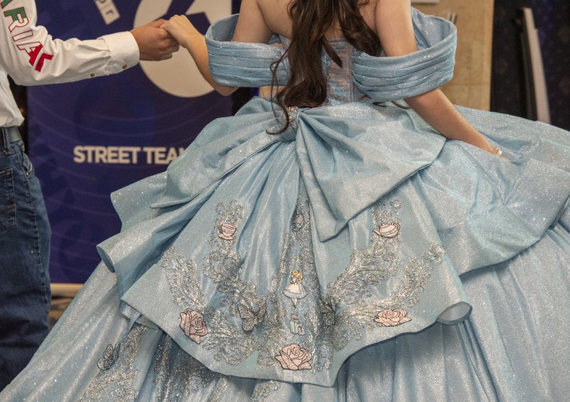 Beauty and the Beast details adorn a gown.