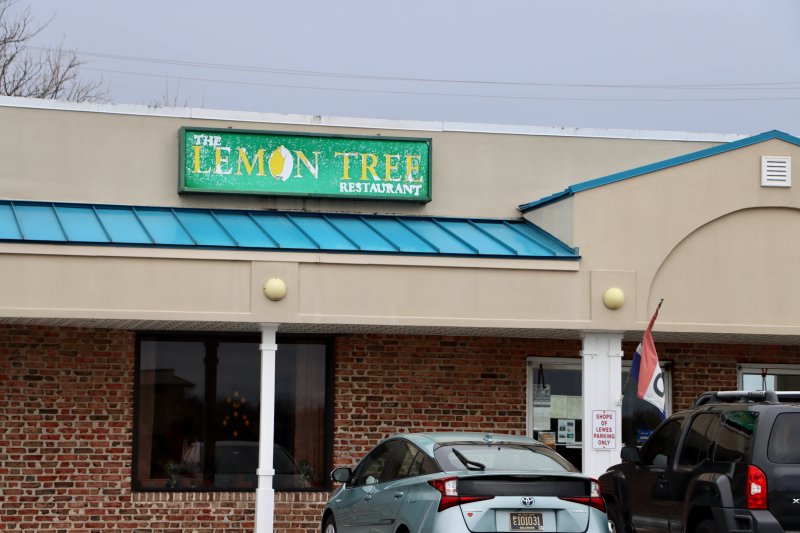 A new owner will renovate the Lemon Tree space and open Saltwater Bagels this spring.