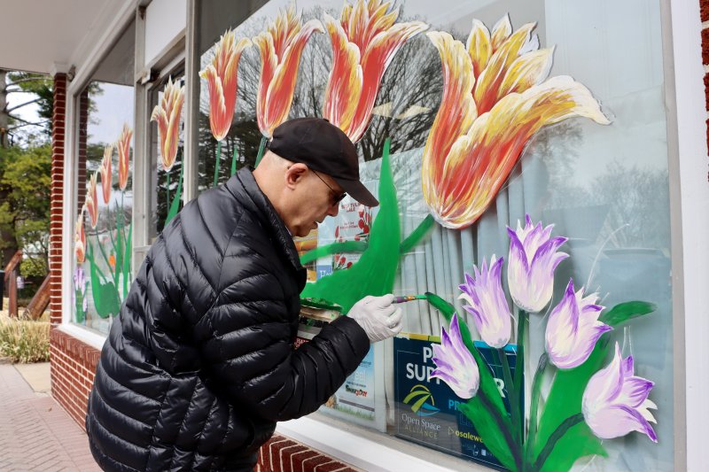 It has become a rite of spring on Second Street in Lewes. Artist Alex Badialov paints tulips on the windows at R&L Liquors to welcome visitors to the city’s annual Tulip Festival, which kicks off April 1. Badialov said he has been painting a different design at R&L for about 15 years.