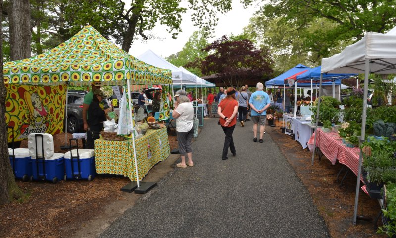 The Rehoboth Beach Farmers Market will welcome about 40 vendors to Grove Park for its 2026 season opening day May 5. CHRIS FLOOD PHOTO