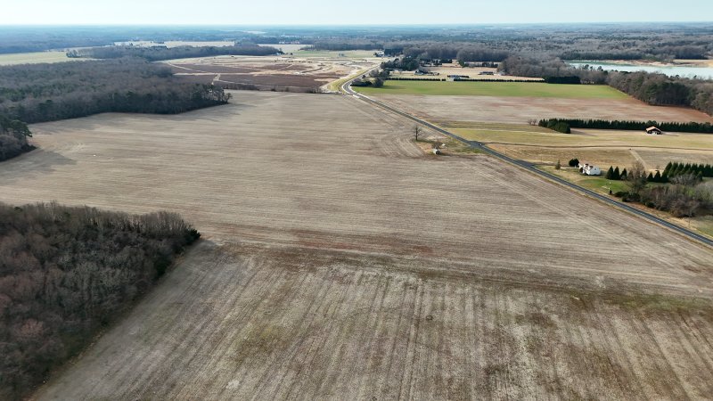 Milton’s Special Review Committee is asking town council to mandate town staff to conduct a cost-benefit analysis of the proposed Carey Farm development off Harbeson and Shingle Point roads. The analysis would be a factor in whether the committee recommends allowing the 192-acre parcel to be annexed into Milton. NICK ROTH PHOTO