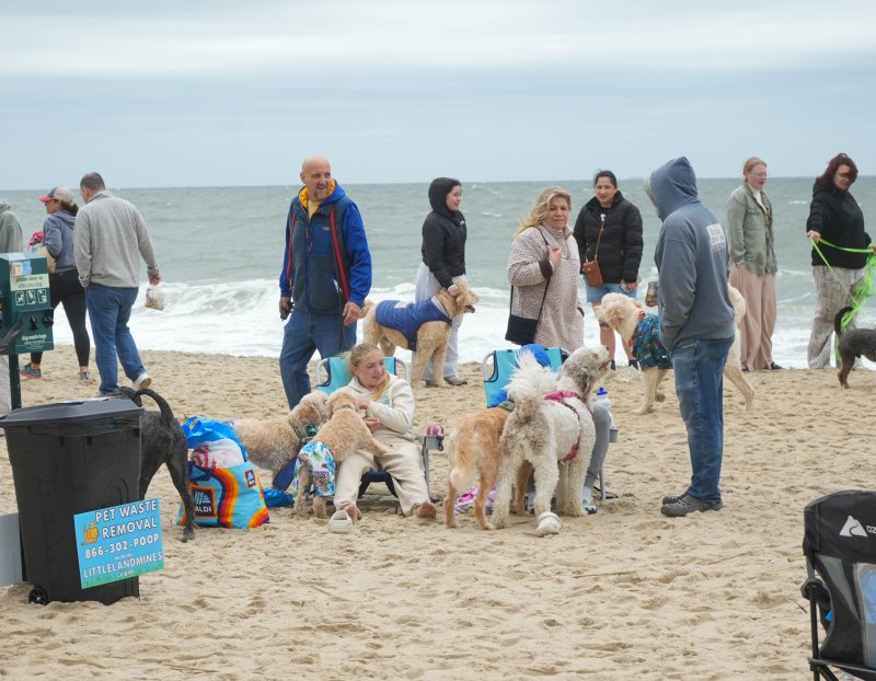 Doodle romp attendees are bundled up to keep warm in the windy, frigid weather. ELLEN MCINTYRE PHOTO