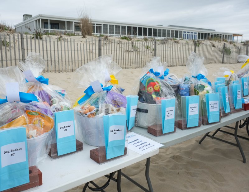 Dog-themed raffle baskets, filled with goodies for attendees’ four-legged friends, are up for grabs at the Dewey doodle romp. ELLEN MCINTYRE PHOTO