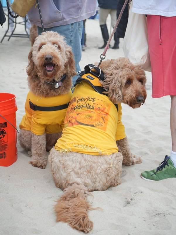 Rosie and Amber wear shirts that read, “Oodles of Doodles.” ELLEN MCINTYRE PHOTO