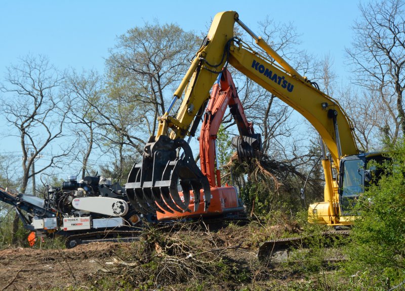 Sussex County Council is considering new regulations that could limit deforestation. RON MACARTHUR PHOTO